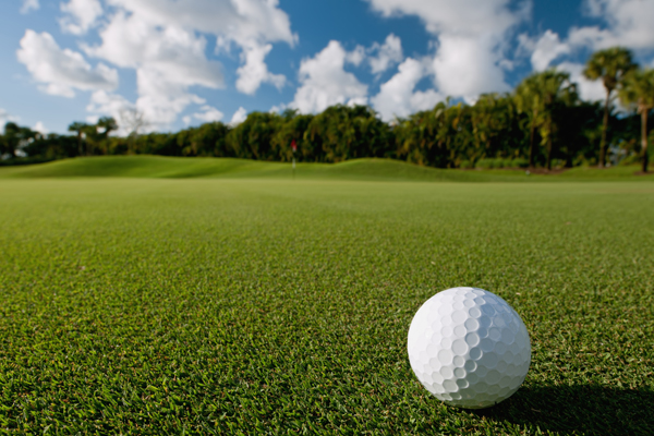 SCENERY mountain`SN 55